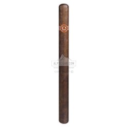 Padron Classic Magnum 02 br backup