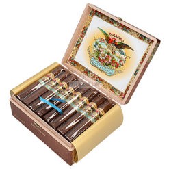 Paradiso Quintessence Majestic Gordo 24 01 2 br backup