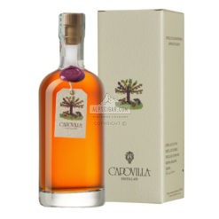 Prunus Aurum 51 Capovilla br backup br backup