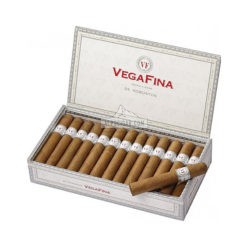 VegaFina Robusto 01 br backup
