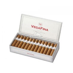 VegaFina Short Robusto 01 br backup