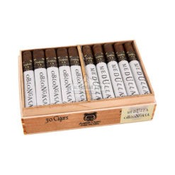 20220511100614 Asylum 13 Medulla Oblongata Robusto 30 01