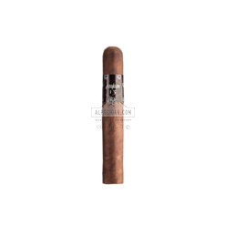 20220511104910 Asylum 13 Robusto 20 01 br backup