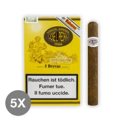 20220512043641 José L. Piedra Brevas 5X5 01 br backup