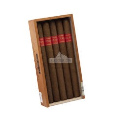 20220722033620 Condega Serie F Lanceros 102