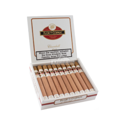 20220726105114 Flor De Copan Churchill 202