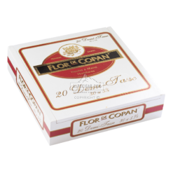 20220726111448 Flor De Copan Demi Tasse 20