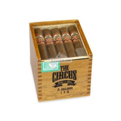 The Circus Harlequin Robusto