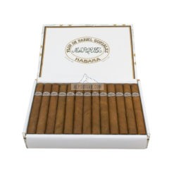 Rafael Gonzalez Petit Coronas br backup