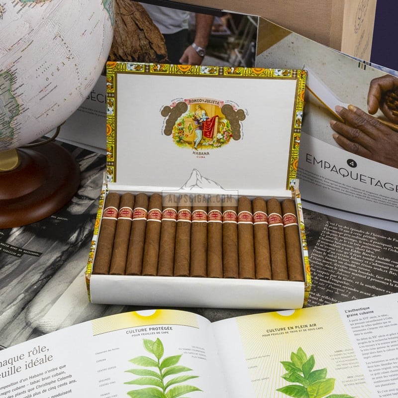 Romeo Y Julieta Regalias de Londres en situation