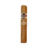 Quorum Robusto