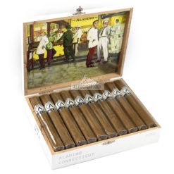 Aladino Connecticut Toro