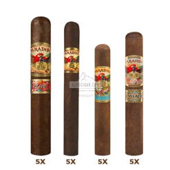 Offre decouverte Paradiso x