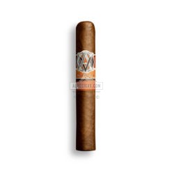 AVO Syncro nicaragua fogata robusto br backup