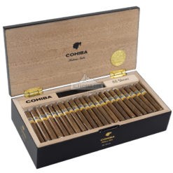 Cohiba Short Humidor Year of the Rabbit