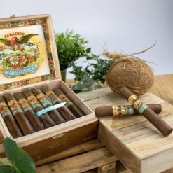 Paradiso Quintessence Robusto ambiance scaled br backup