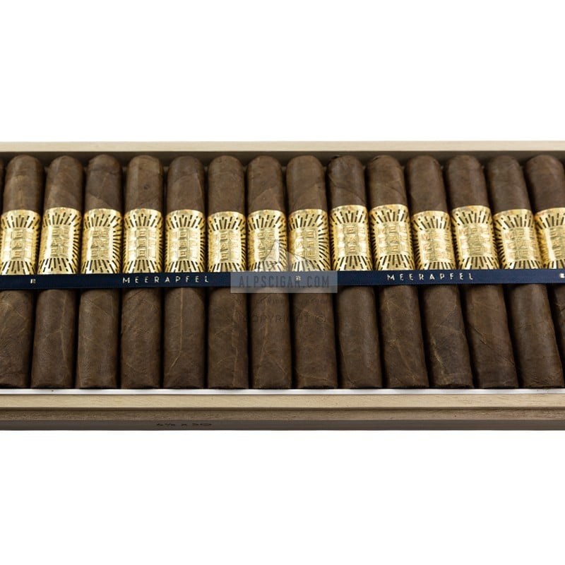 Meerapfel Meir Robusto br backup