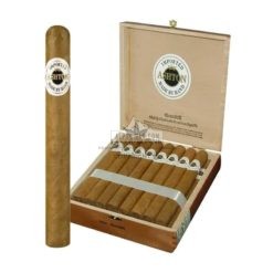 Ashton Classic Churchill br backup