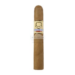 Insidious by Asylum Robusto br backup