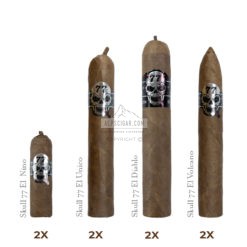 Offre decouverte Skull x jpg