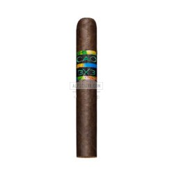 CAO BX Toro br backup jpg