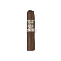 Casa Magna Colorado Torito br backup jpg