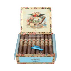 Paradiso Revelation Odyssey br backup br backup jpg